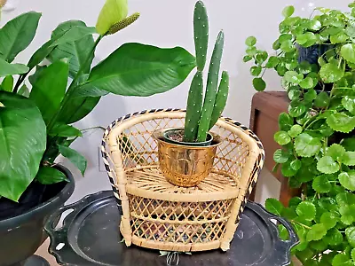 Vintage Wicker Peacock Mini Loveseat: Plant Stand Photography Prop Doll Chair. • $18.25