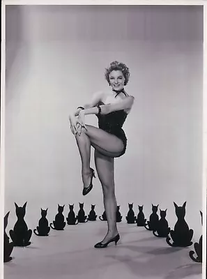 Vintage 8x10 DW Photo On Heavy Stock Actress Dancer And Singer Sheree North • $15.99