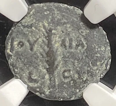 NGC FINE Valerius Gratus 15-26 AD Judaea Jesus Bible Coin Roman Empire Governor • $95.99