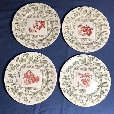 Mottahedeh England Adaptation Creil Circa 1865 Set Of 4 Dessert Or Salad Plates • $28