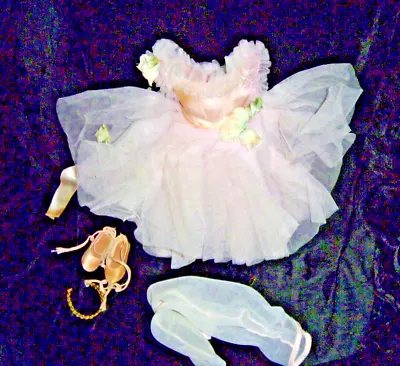 Madame Alexander 18  Beautiful Tagged Pink Tulle Ballerina Tutu W/ Accessories • $9.99