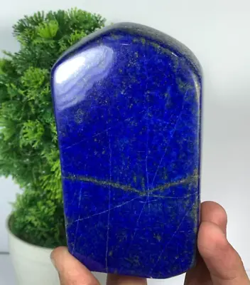 581Gram Lapis Lazuli Freeform Rough AAA+ Tumbled Rough Polished From Afghanistan • $69.99