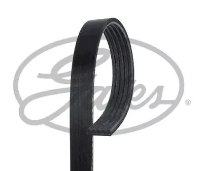 Gates 5PK1220 V-Ribbed Belt Fits Alfa Romeo Buick Chevrolet Citroen Mitsubishi • $29.58