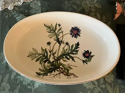 Villeroy And Boch Botanica 16  Oval Baker Casserole Excellent KNAUTIA ARVENS • $54.95