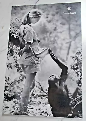 Apple  Think Different  Ad  Campaign  Genius  Poster Jane Goodall • $49.99