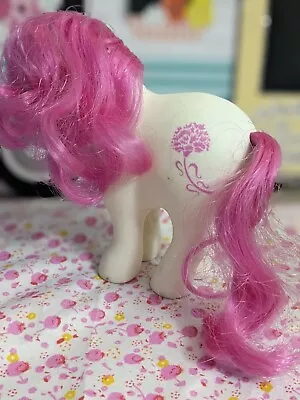 Vintage 1982 Hasbro My Little Pony Birth Flower January Carnation G1 RARE • $20