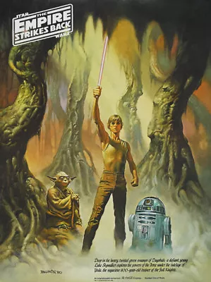 Star Wars The Empire Strikes Back #9 Movie Poster Print • $6.49