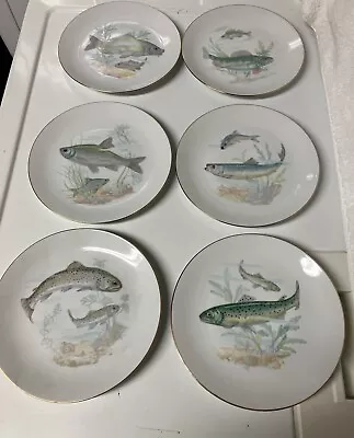 Gold Guilded Bohemia Czech Republic Fish Set 6 Plates Different Fish Very Nice • $25