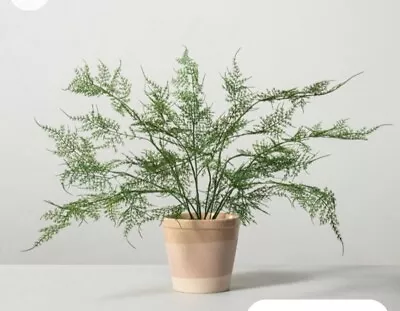 Hearth And Hand With Magnolia Artificial Faux Potted Plants Asparagus Fern • $11.39