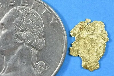 Alaskan-Yukon BC Gold Rush Natural Gold Nugget 0.33 Grams Genuine • $32.19