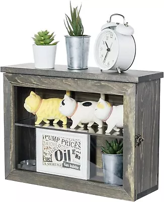 Wall Mounted Gray Wood Display Case Hanging Shadow Box W/ Clear Viewing Panel • $54.99