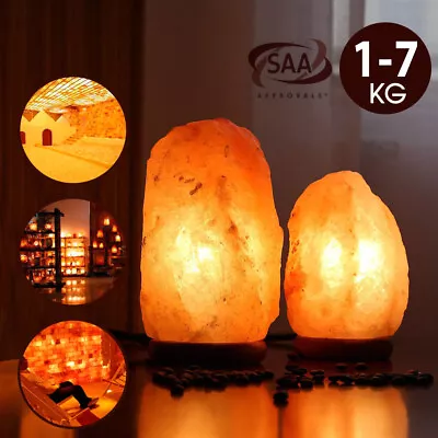 Himalayan Salt Lamp Natural Crystal Rock Shape Dimmer Switch Night Light 1-7 Kg • $17.99