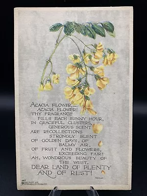 ACACIA FLOWER - 1913 P. F. Volland & Co. Antique Postcard Unused Very Rare • $26.99