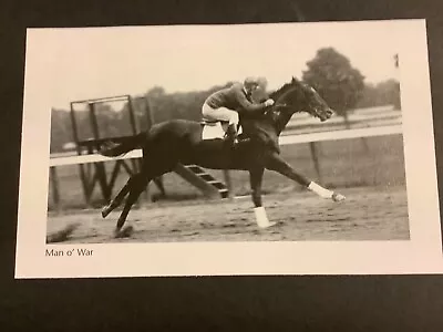 MAN O’ WAR  Photo Horse Racing CHAMPION • $4.99