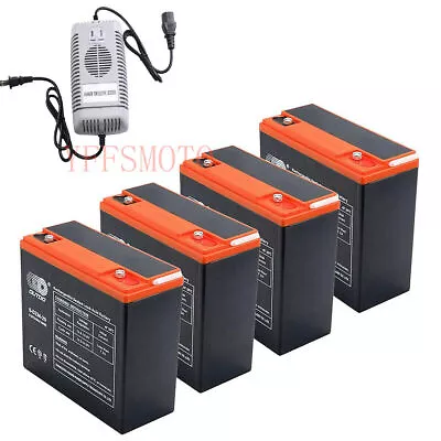 12V-48V 24Ah 6-DZM-20 Battery & Charger For 4 Wheeler Mower Golf Cart ATV E-bike • $435.10