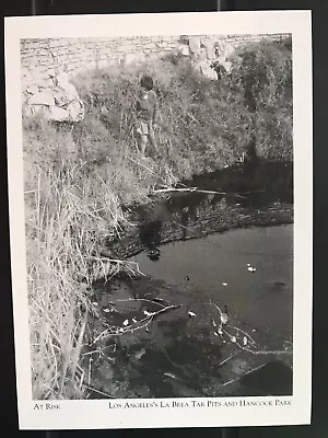 Postcard Unposted California La Brea Tar Pits- Child Jumps Tar Pit Wall -repro • $5