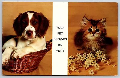 Animals~Your Pet Depends On You~Dog In Basket & Kitten W/ Flowers~Vtg Postcard • $3.70