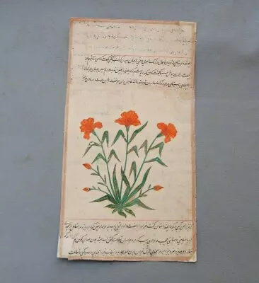 Rare Oriental Indian Mughal Islamic Flower Miniature Multi Colour Painting 19c • $199