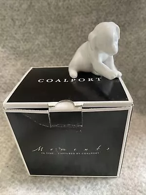 Coalport Moments In Time White China Dog Puppy Figure Figurine 2005 Ornament VGC • £15.99