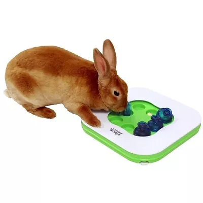 Living World Teach & Treat Small Animal Toy 3 In 1 Interactive Rabbit Game • £7.90