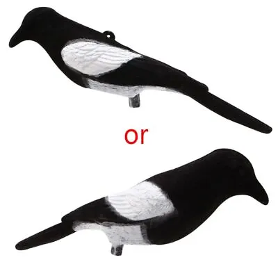 Magpie Bird Painted Decoy For Outdoors Shot Hunting Shooting Lures Bait To • £6.64