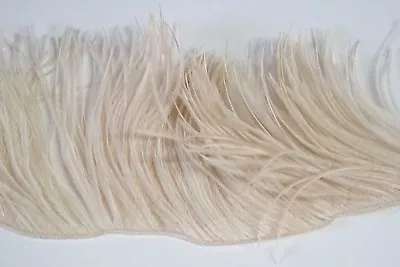 12  OSTRICH FEATHER FRINGE - BEIGE 3-6  Craft/Pad/Trim • $21.99