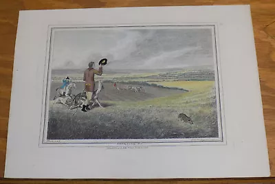 1812 COLOR Print/HUNTING GAME OR COURSING OFTEN USING GREYHOUND DOGS • £48.25