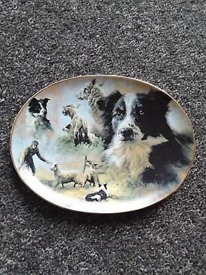 Davenport Pottery Limited Edition Collector Plate A Loyal Friend By Mick Cawston • £15