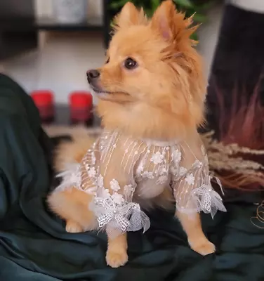 Dog Dress Elegant Lace Floral Embroidered White Spring / Small Dog Dress • $24.99