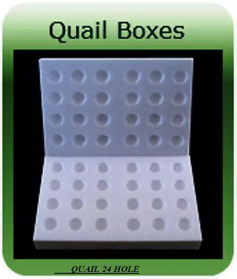 5 X 24 QUAILS HOLE POLYSTYRENE EGG BOXES HATCHING/INCUBATION 78MM THICK • £20