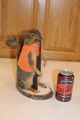 Taxidermy Hunter Squirrel Mount Novelty Whitetail Deer Log Cabin Decor Weasel • $265