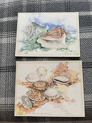 £15 • Buy Still Life Sea & Shells Watercolour Painting Signed X2