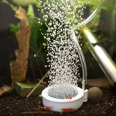 £10.98 • Buy Air Stone Bubble Disc Oxygen Aerator For Pond Aquarium Fish ShrimpTank Pump 5cm
