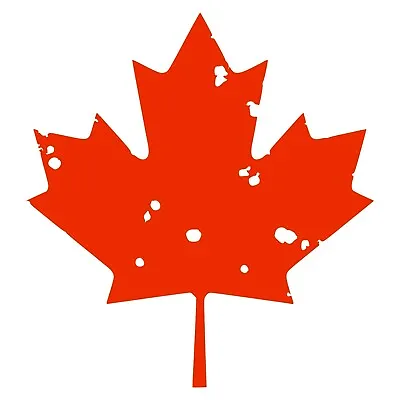 Maple Leaf Sticker - Buy 1 Get 1 Free - Maple Leaf Decal - BOGO • $5.25