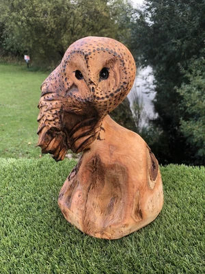 £60 • Buy Bespoke Chainsaw Owl Carvings In Wood /FlatBack 132022A