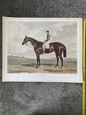 £25 • Buy Horse Racing Prints X5