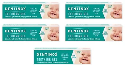 5 X DENTINOX Teething Gel (10g)  *only £5.99/unit** • £29.95