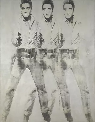 Andy Warhol Elvis Canvas Print 16 X 20 • $39.99