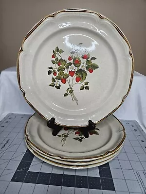 Vintage Sunmarc LA FRAISE Endura Collection Strawberry Dinner Plates Set Of 4 • $26.99