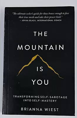 The Mountain Is You By Brianna Wiest • $11.50
