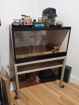 $200 • Buy Reptile Terrarium Habitat Heat/Light Tank Bearded Dragon/Snake 35Gal USED