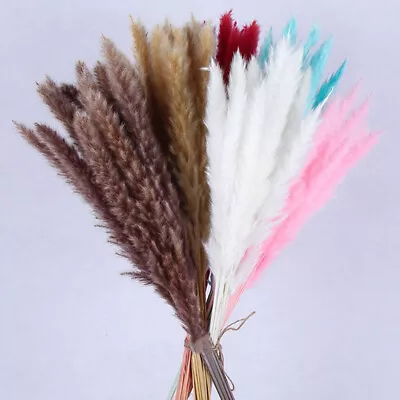 15/30/45X Natural Dried Pampas Grass Wedding Phragmites Flower Bunch Decoration • £6.28