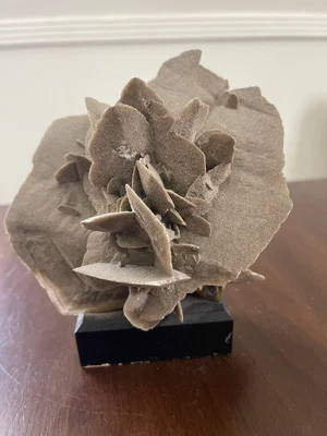 $27.99 • Buy Desert Rose Crystal Selenite Sand Rose Rock Stone Cluster Mounted For Display