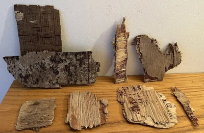 £5.99 • Buy 7 Bit FLAT DRIFTWOOD BUNDLE Coastal Sea Art Plywood Beach Nautical Craft Job Lot