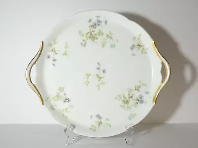 Antique Jpl J. Pouyat Limoges France Handled Serving Plate Floral  • $12.45