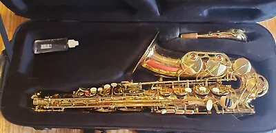 Selmer La Voix Alto Saxophone Nice • $1204