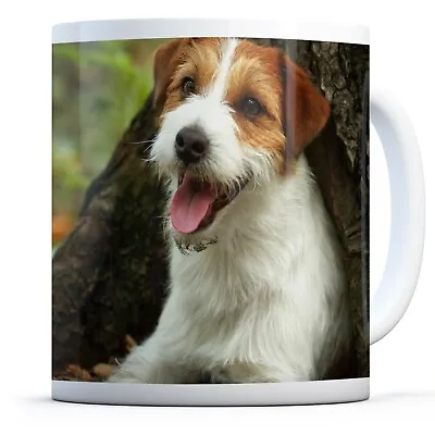 Jack Russell Terrier - Drinks Mug Cup Kitchen Birthday Office Fun Gift #16304 • £8.99