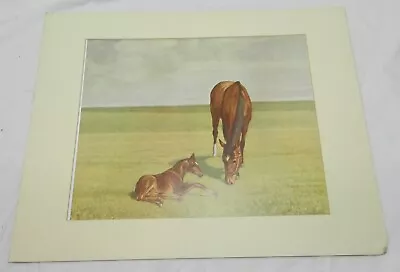 Lot Of 3 Horse Prints By C.W. Anderson • $60