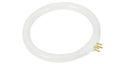 T4 11W Circular Fluorescent Lamp For Illuminated Magnifier Lamp • £6.61