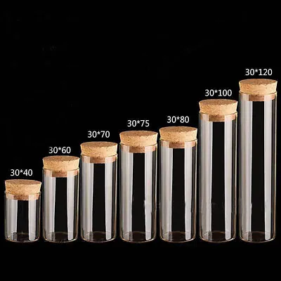 15ML-60ML Wholesale Empty Transparent Clear Cork Glass Bottles Vials With Cork • $70.99